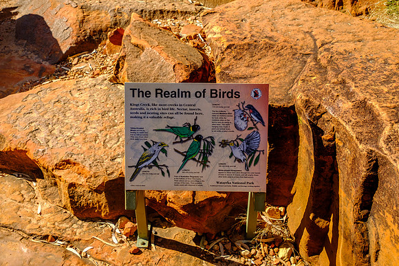 202309_KingsCanyon_008