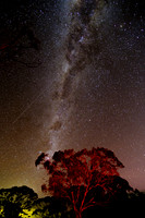 202309_MelbourneAlice_010