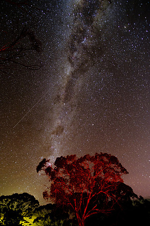 202309_MelbourneAlice_010