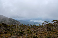 Mt. Wellington