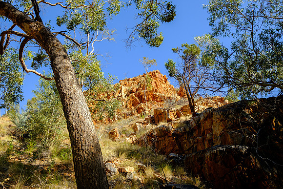 202309_WestMacDonnell_003