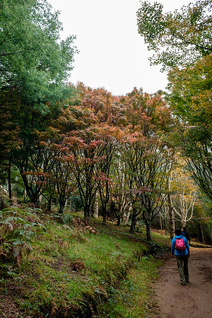 20210424_Arboretum-006