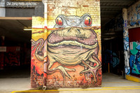 20210308 - Fitzroy Walk