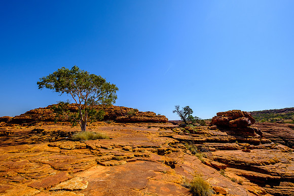202309_KingsCanyon_034