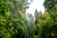 20210424_Arboretum-003