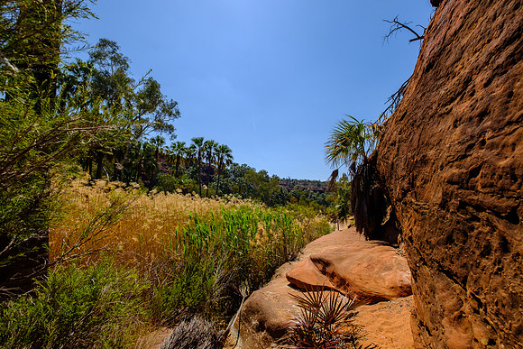 202309_PalmValley_030