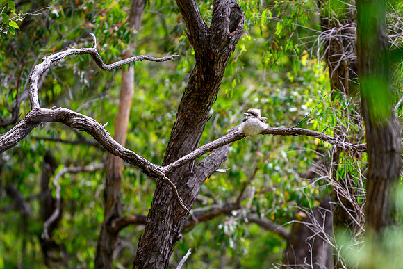 20201225_Hike-018