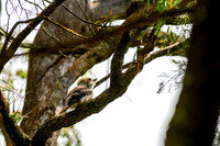 20201225_Hike-004