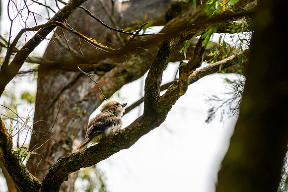 20201225_Hike-004
