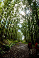 20210424_Arboretum-009