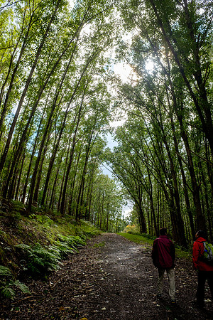 20210424_Arboretum-009