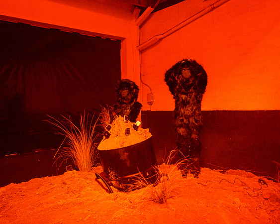 202206_Hobart-048