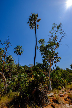 202309_PalmValley_026