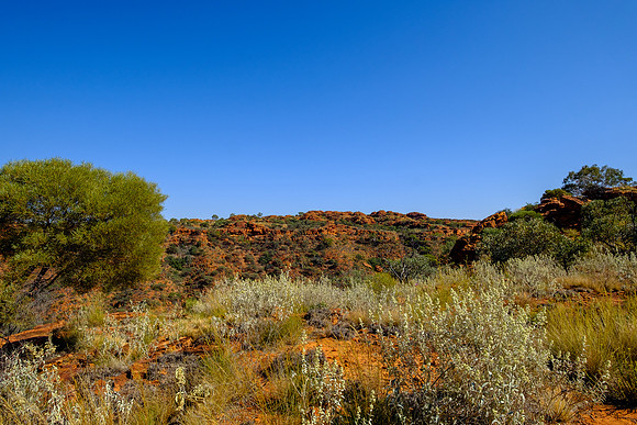202309_KingsCanyon_016
