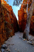 202309_WestMacDonnell_014