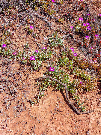 2023RC_Coober_to_Melbourne-009
