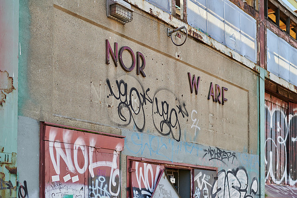 202008_NikonZ7_016