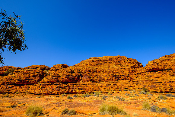 202309_KingsCanyon_027