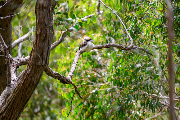 20201225_Hike-019