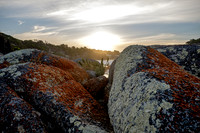Mt. William National Park