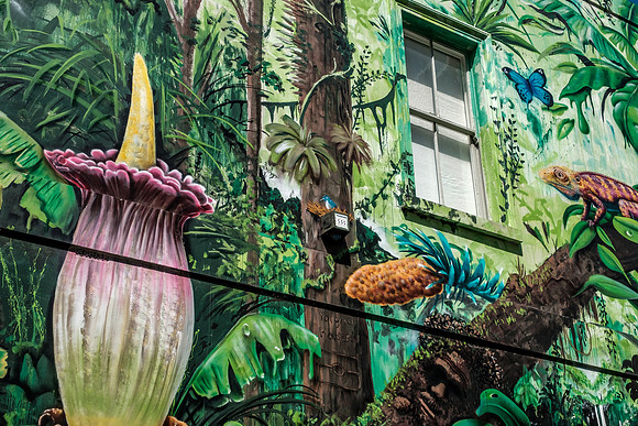 20201224_Melbourne-004