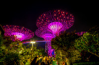 201908 - Singapore