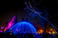 20190817_GlowFestival_9-cr