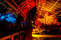 20190817_GlowFestival_11-cr