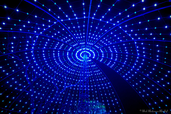 20190817_GlowFestival_3-cr