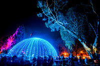 20190817_GlowFestival_8-cr