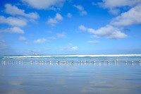 20180330_GOR-013