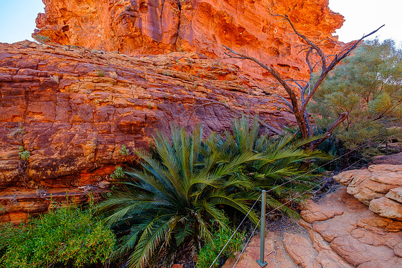202309_KingsCanyon_021