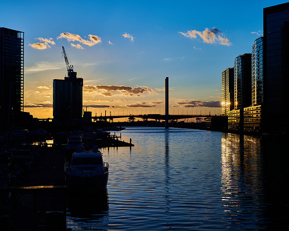 202008_NikonZ7_047