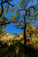 202309_WestMacDonnell_008