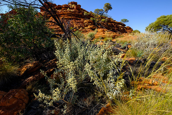 202309_KingsCanyon_017