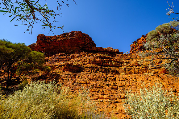 202309_KingsCanyon_018