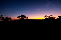 202309_MelbourneAlice_004