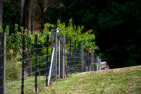 20201225_Hike-014