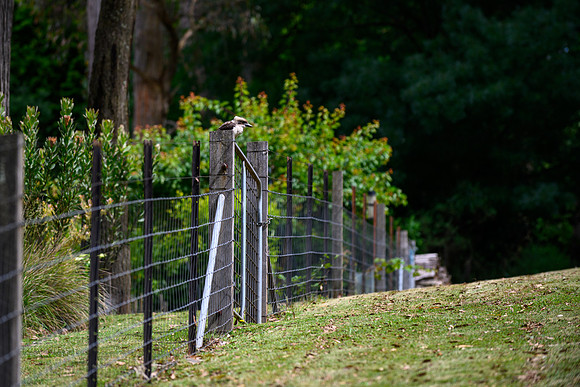 20201225_Hike-014