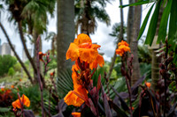 Botanical Gardens