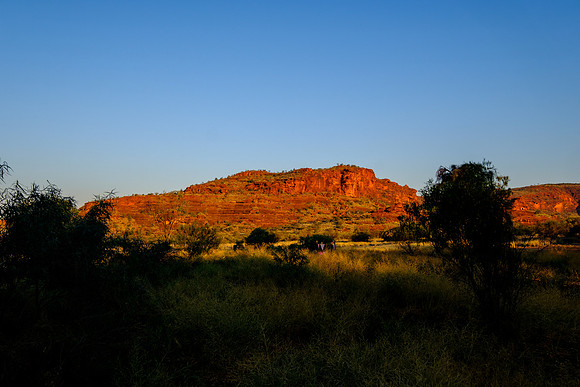 202309_PalmValley_054