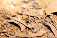 20201225_Hike-009