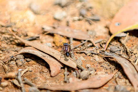 20201225_Hike-009