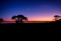 202309_MelbourneAlice_003
