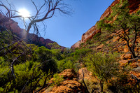 202309_KingsCanyon_009