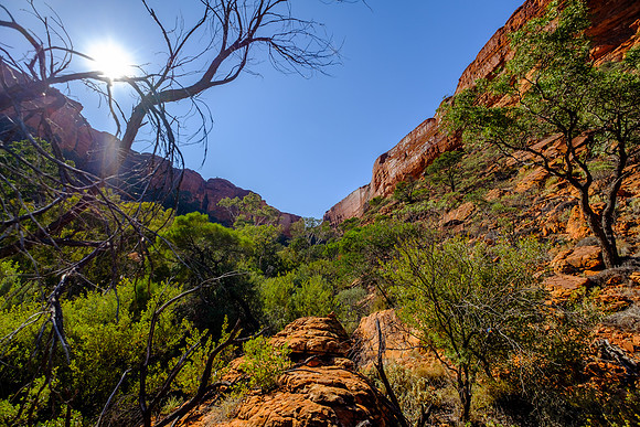 202309_KingsCanyon_009