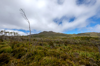Mt. Hartz