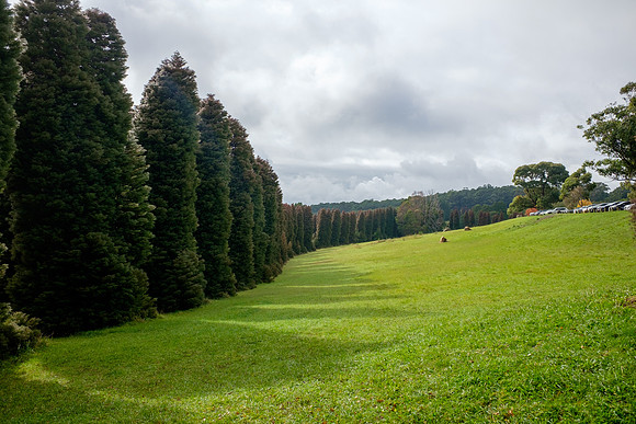 20210424_Arboretum-001