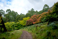 20210424_Arboretum-007