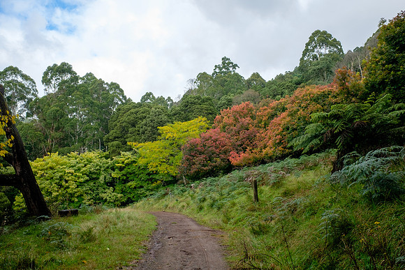20210424_Arboretum-007